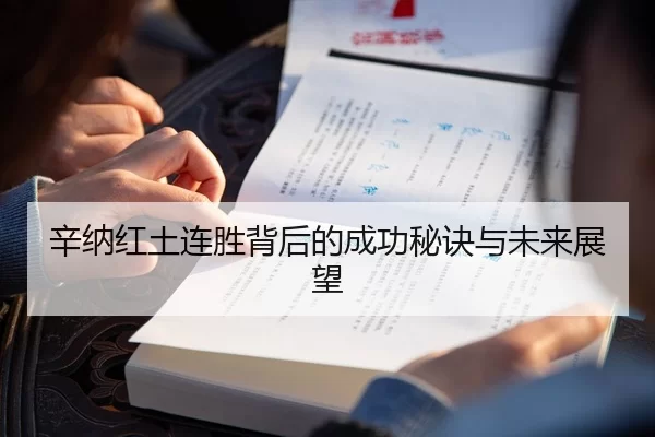 辛纳红土连胜背后的成功秘诀与未来展望